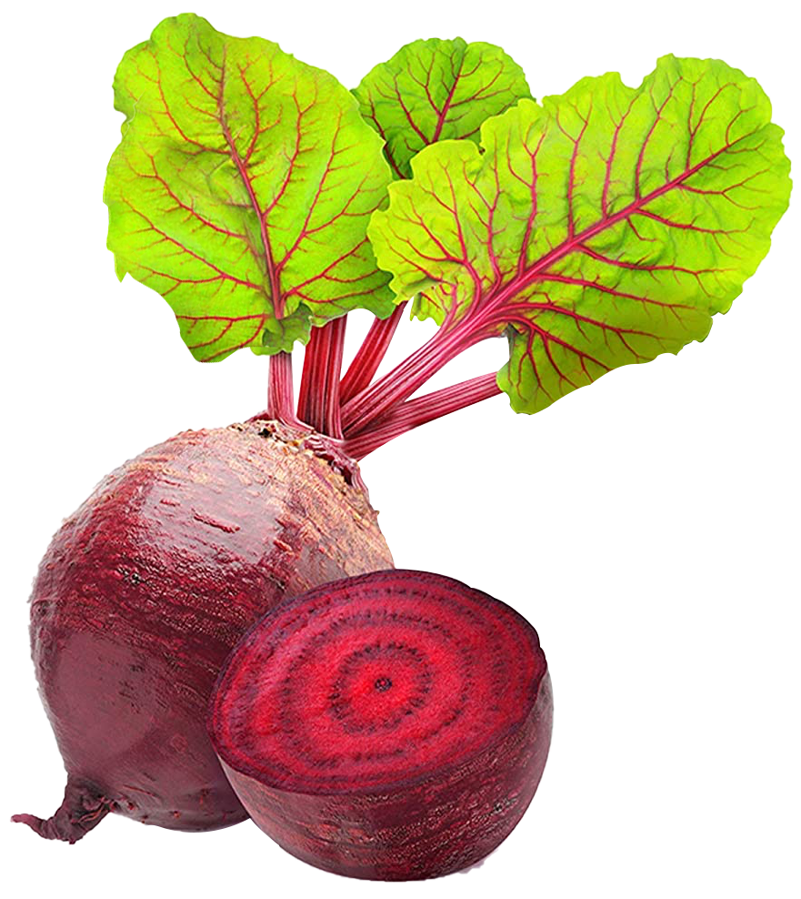 Picutre of a beet with its leaves and another one cut in half